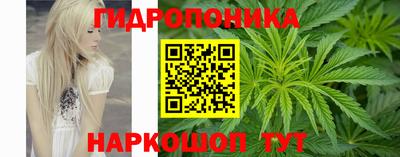 дмт Пушкино