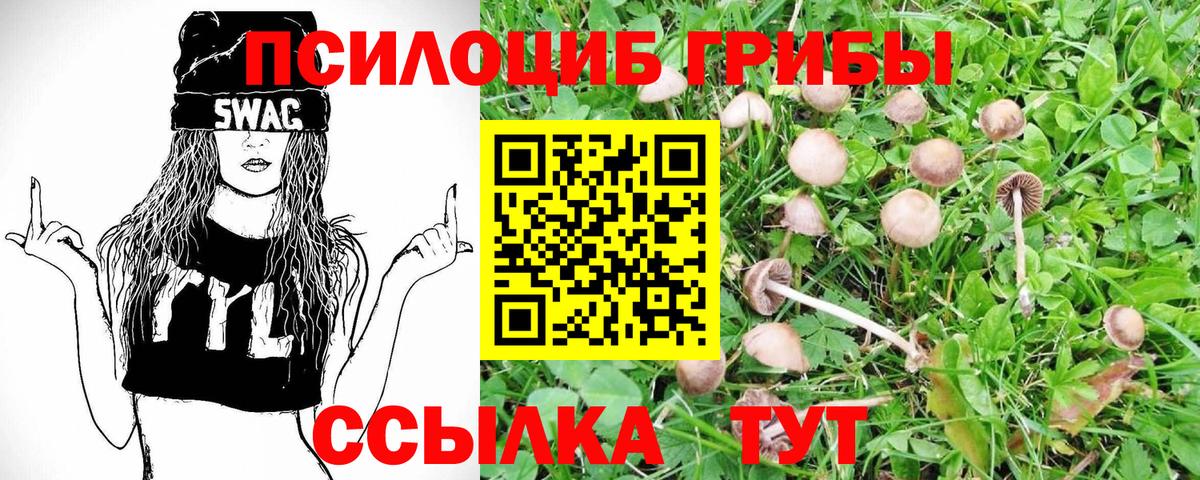 Семёнов  Псилоцибиновые грибы Psilocybe  Вход с VPN 