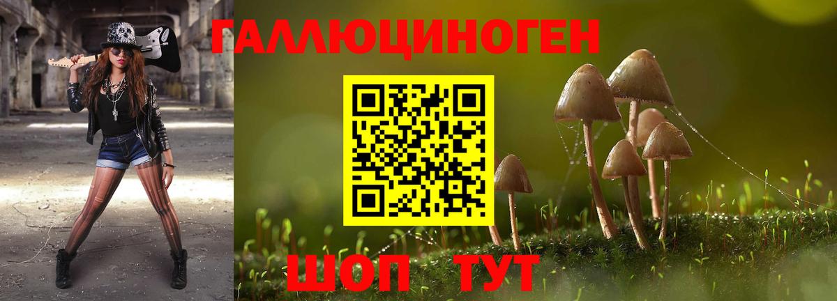 Галлюциногенные грибы Psilocybine cubensis Семёнов